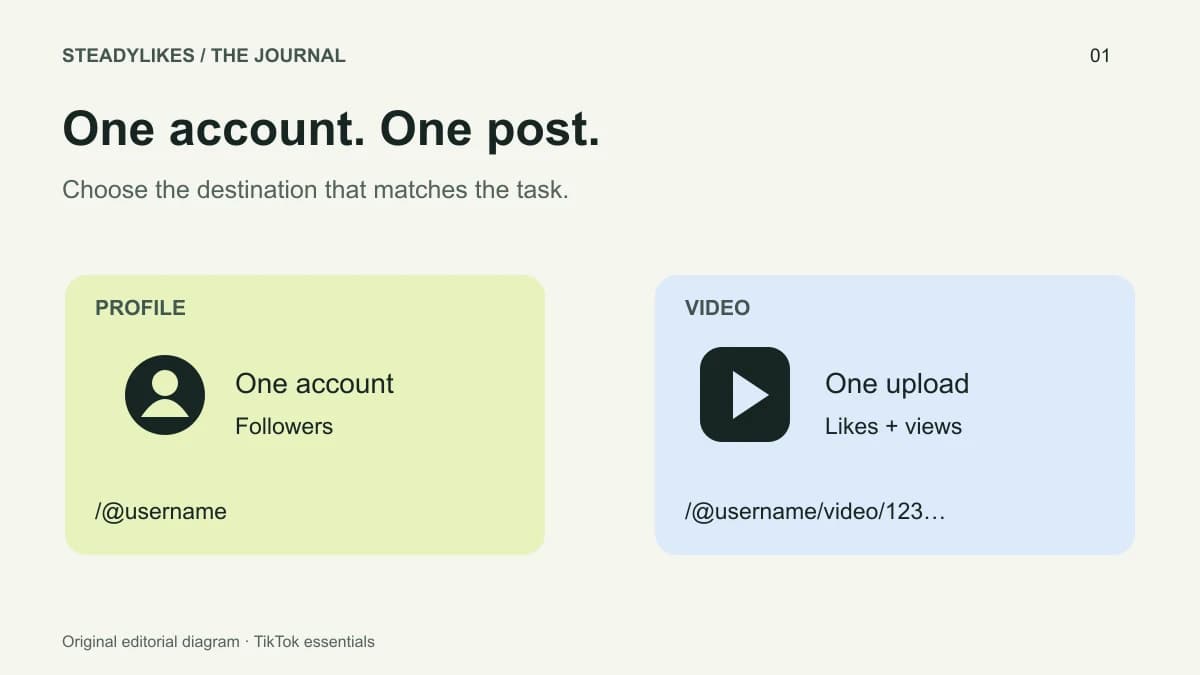Two labelled cards distinguish a TikTok profile destination for followers from an individual video destination for likes and views.